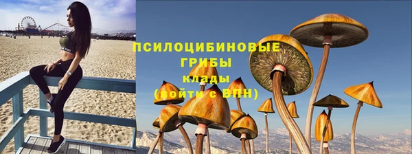 винт Абинск