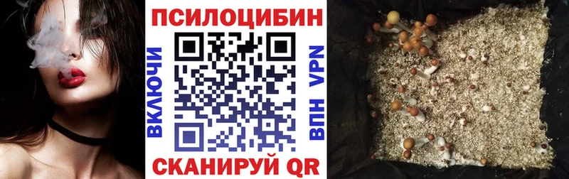 ссылка на мегу ссылки  Алзамай  Псилоцибиновые грибы MAGIC MUSHROOMS 